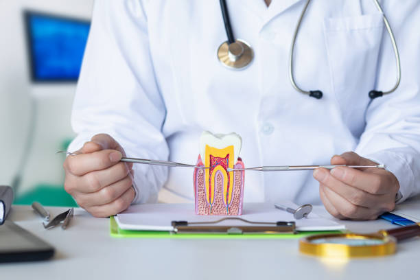 Best Emergency Dental Care for Sports Injuries in Kalona, IA
